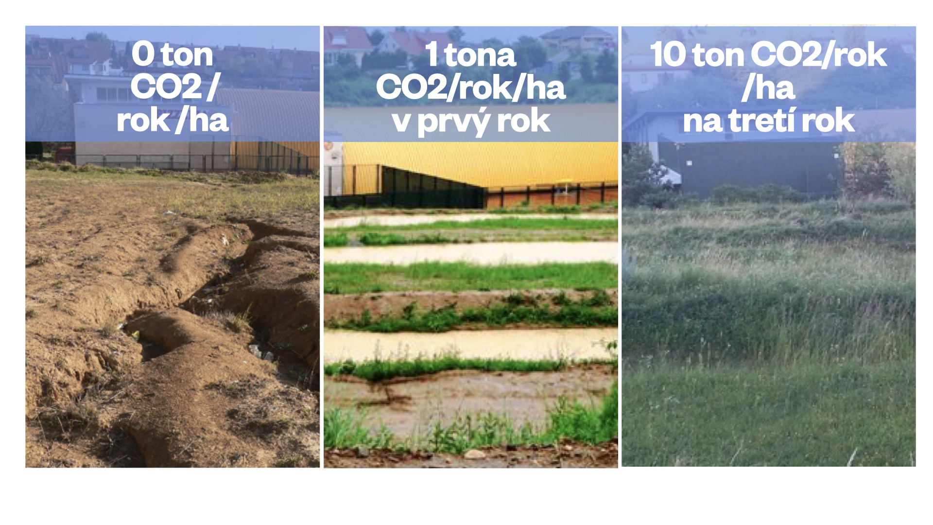 Example of carbon sequestration with retained water