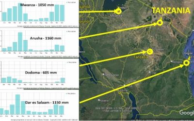 Défis potentiels pour la guérison climatique de la Tanzanie en modifiant la gestion des eaux pluviales