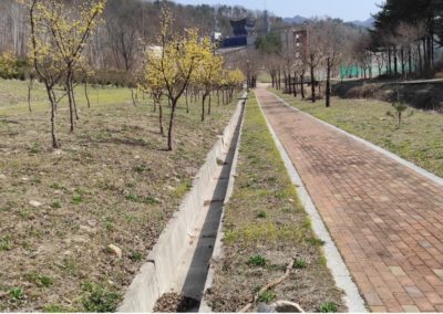 drying trees next to the sidewalk