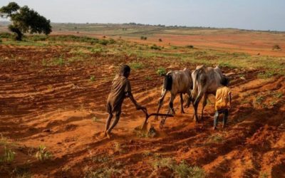 Water for Madagascar
