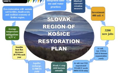 RECOVERY PLAN FOR KOSICE REGION