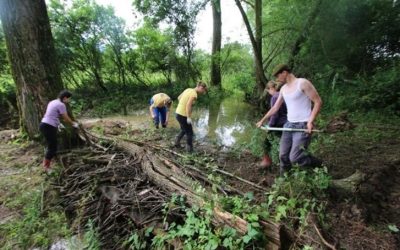 Biodiversity Restoration in Rajec